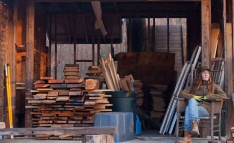 The Growing Economy of Salvaged Urban Wood Image
